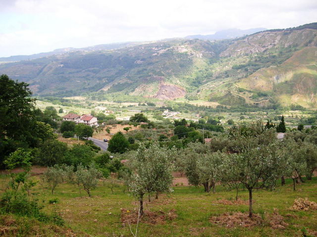Foto A.Chieffallo 050